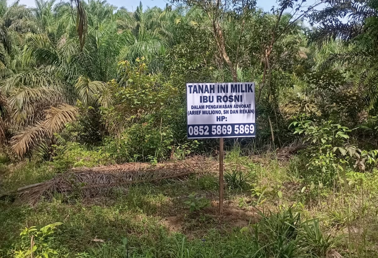 Pemerintah Buta atau Sengaja Membiarkan? Mafia Tanah Beraksi di Siang Bolong